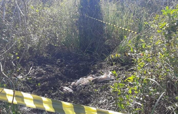 Polícia Investiga Caso De Homem Decapitado Em Balneário Barra Do Sul Mzl 10 O Portal De