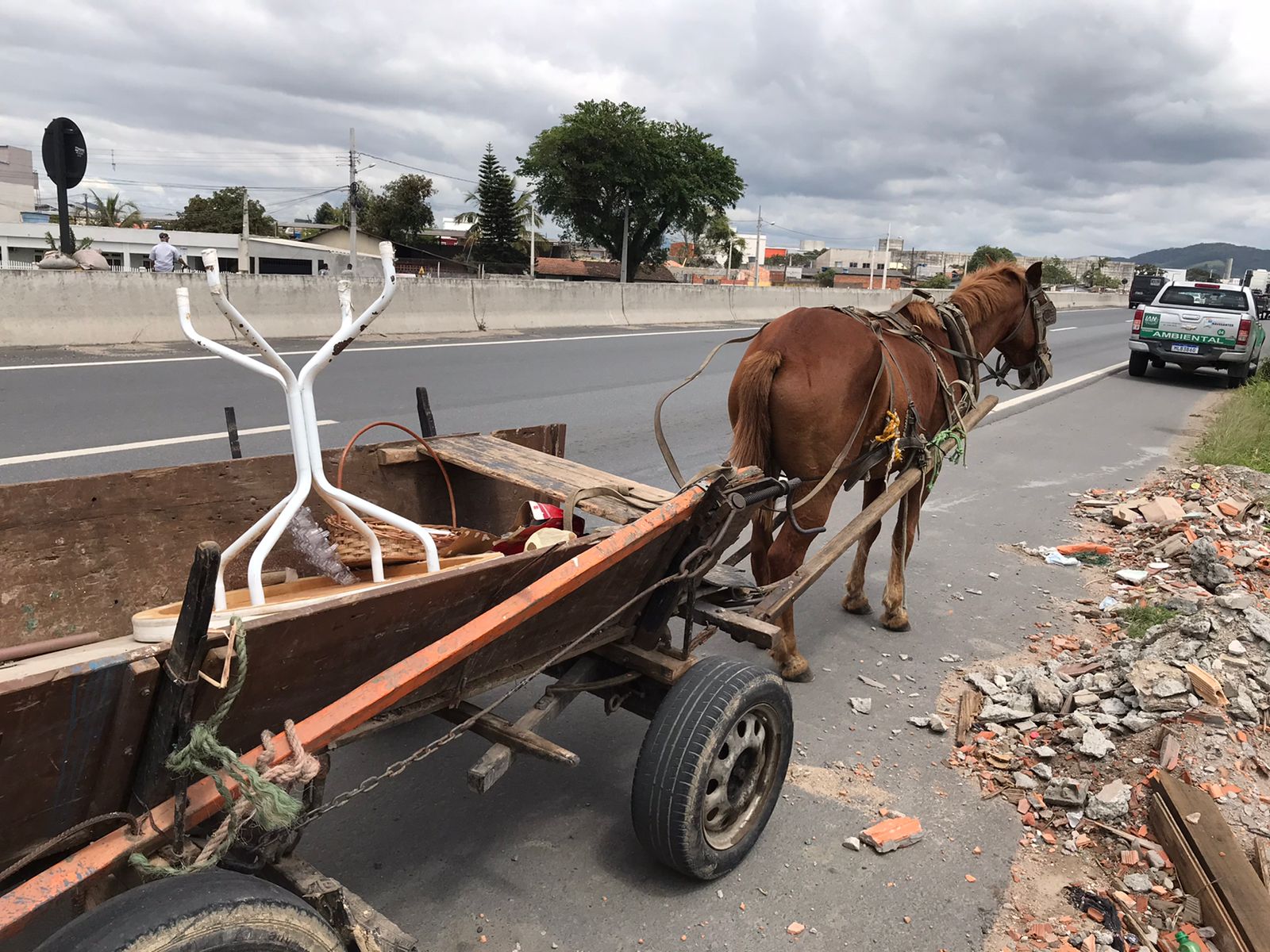 Fio de energia cai e mata cavalo em área rural de Itaporanga - Diamante  On-Line